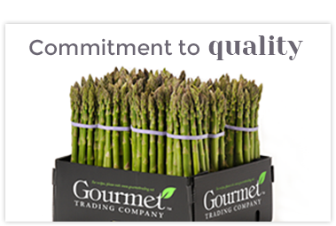 Commitment To Quality